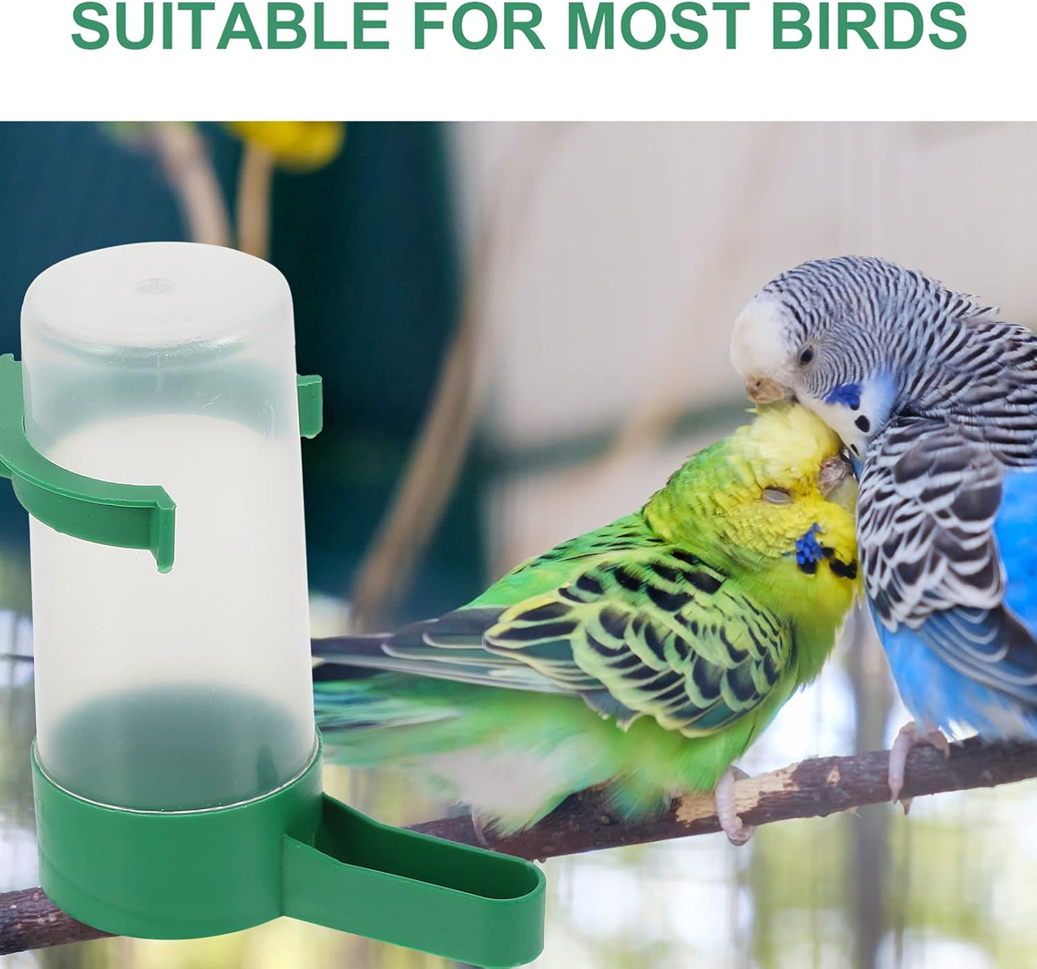 Alipis Dispensador de agua para pájaros y pájaros, taza de jaula para pájaros colgantes, alimentador automático de agua para pájaros, periquitos,