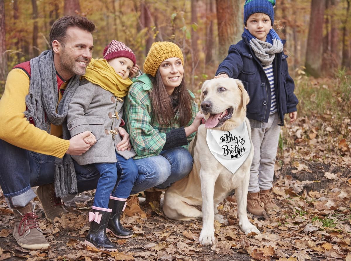 Bandana para perro, pañuelo para perro de hermano mayor, bufanda para perro, impresión blanca, accesorios para bufanda para perro, bufanda para