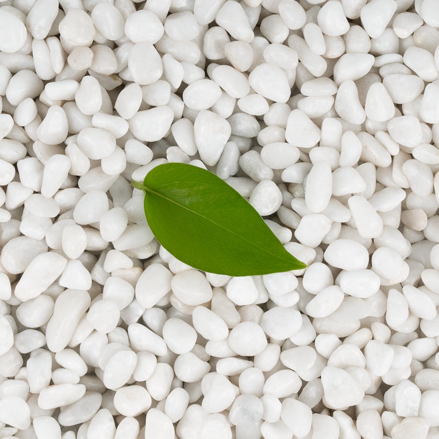 Calofulston Piedras blancas de 15 libras para plantas, rocas blancas de 38 pulgadas para jarrones de paisajismo, pequeñas piedras decorativas para