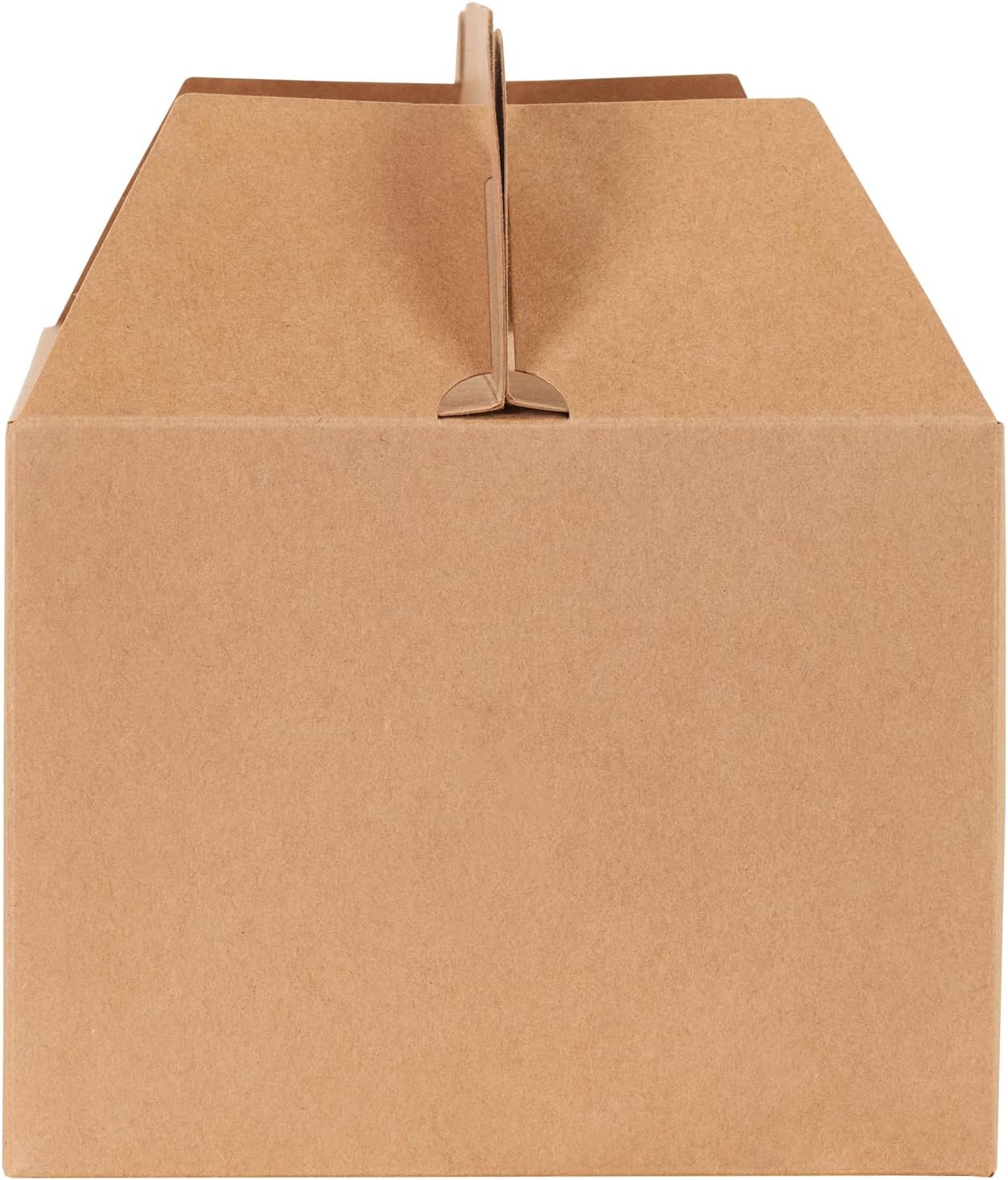 Restaurantware Bio Tek – Cajas de regalo de 10.2 x 5.9 x 6.9 pulgadas con asas, 100 cajas rectangulares a dos aguas, con pestaña segura, resistentes