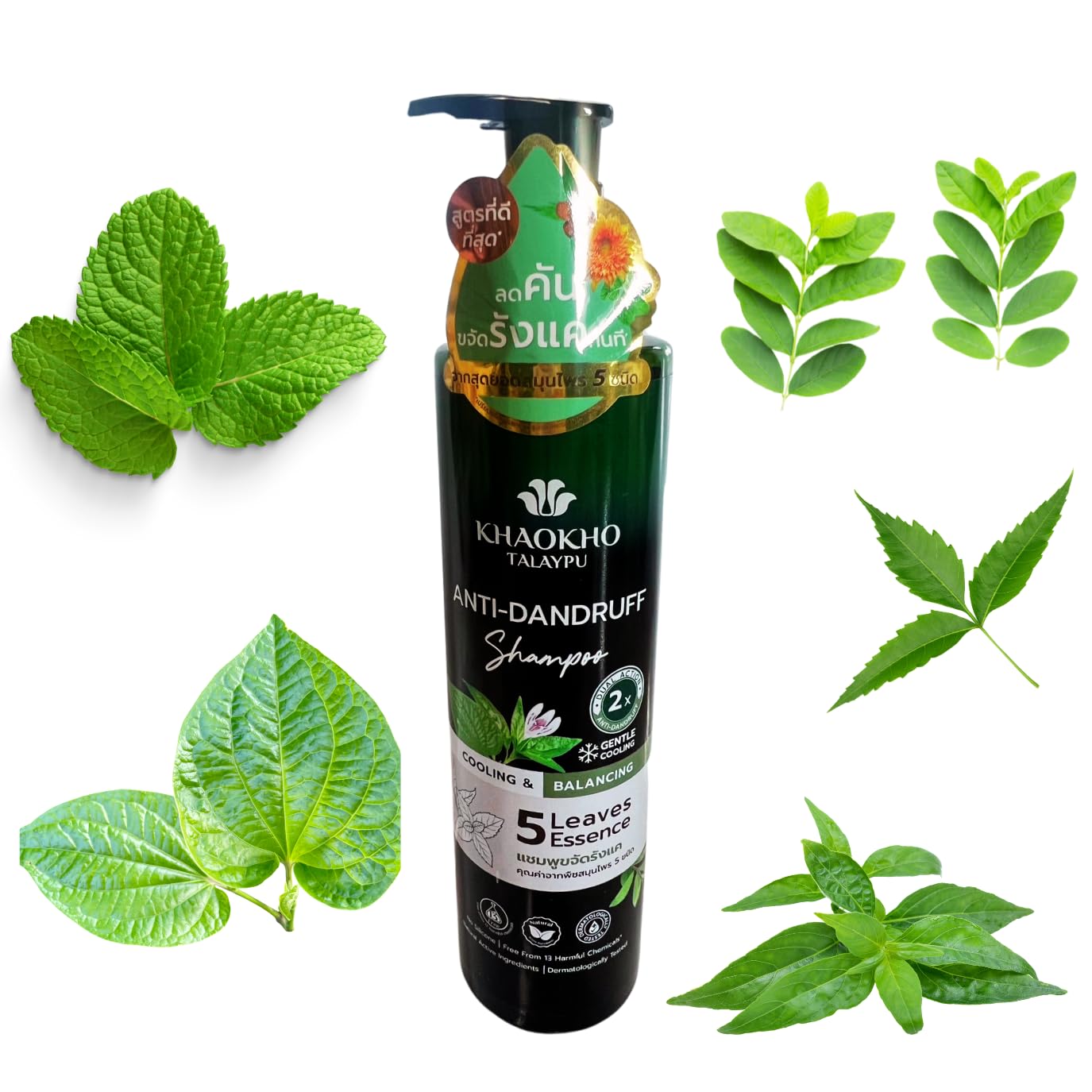 KKT Champú para el cuidado del cuero cabelludo con extracto de hierbas, anticaspa natural. Fórmula de extractos de hierbas, libre de productos