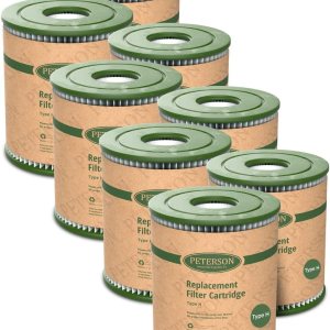 GALVANOX Paquete de 8 cartuchos de filtro de repuesto tipo H para bomba de piscina sobre el suelo Intex (C330, 29007E) GALVANOX Paquete de 8 cartuchos de filtro de repuesto tipo H para bomba de piscina sobre el suelo Intex (C330, 29007E)