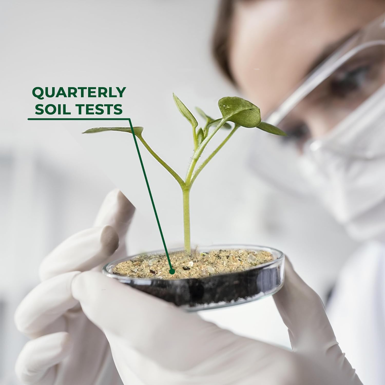 BuildASoil Fertilizante para huerto y alimentos orgánicos para plantas  Fertilizante orgánico hecho a mano con 15 ingredientes de primera calidad