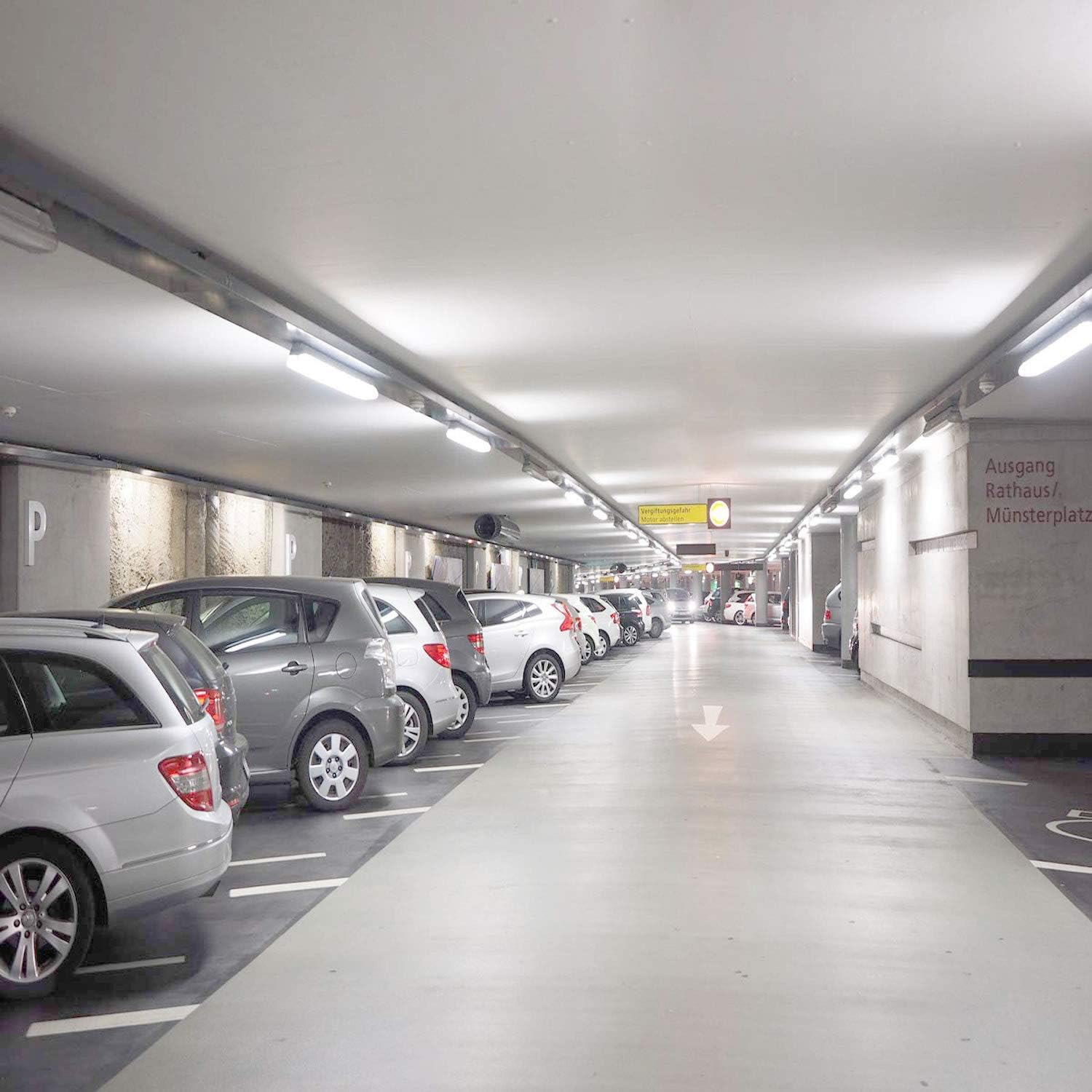 Striplight Lámpara LED para tienda, 12 pulgadas, 5 W, 580 lm, cubierta esmerilada, 6500 K, tubo de luz integrado T5, salida alta, blanco más