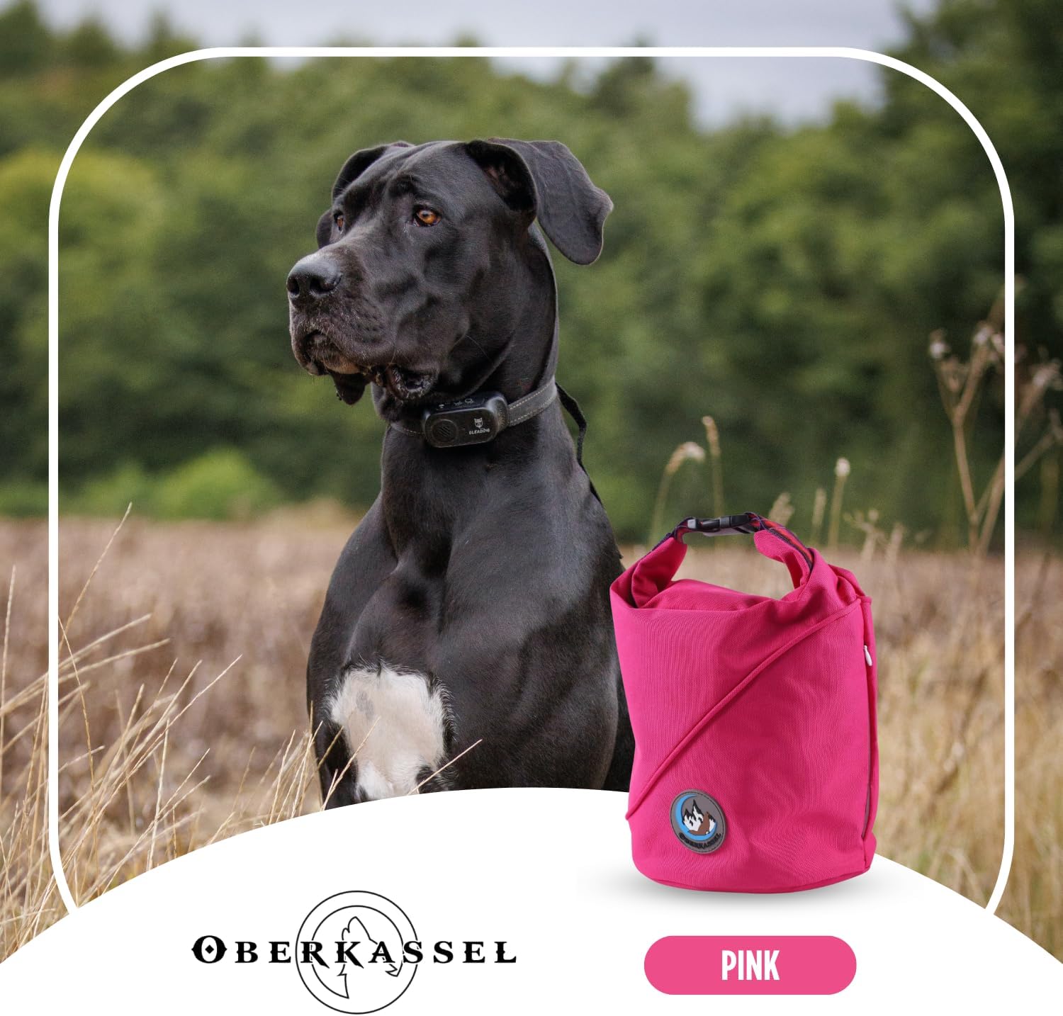 Bolsa de viaje para comida para perros, bolsa de almacenamiento de alimentos para mascotas, conveniente para viajes, senderismo y campamento,
