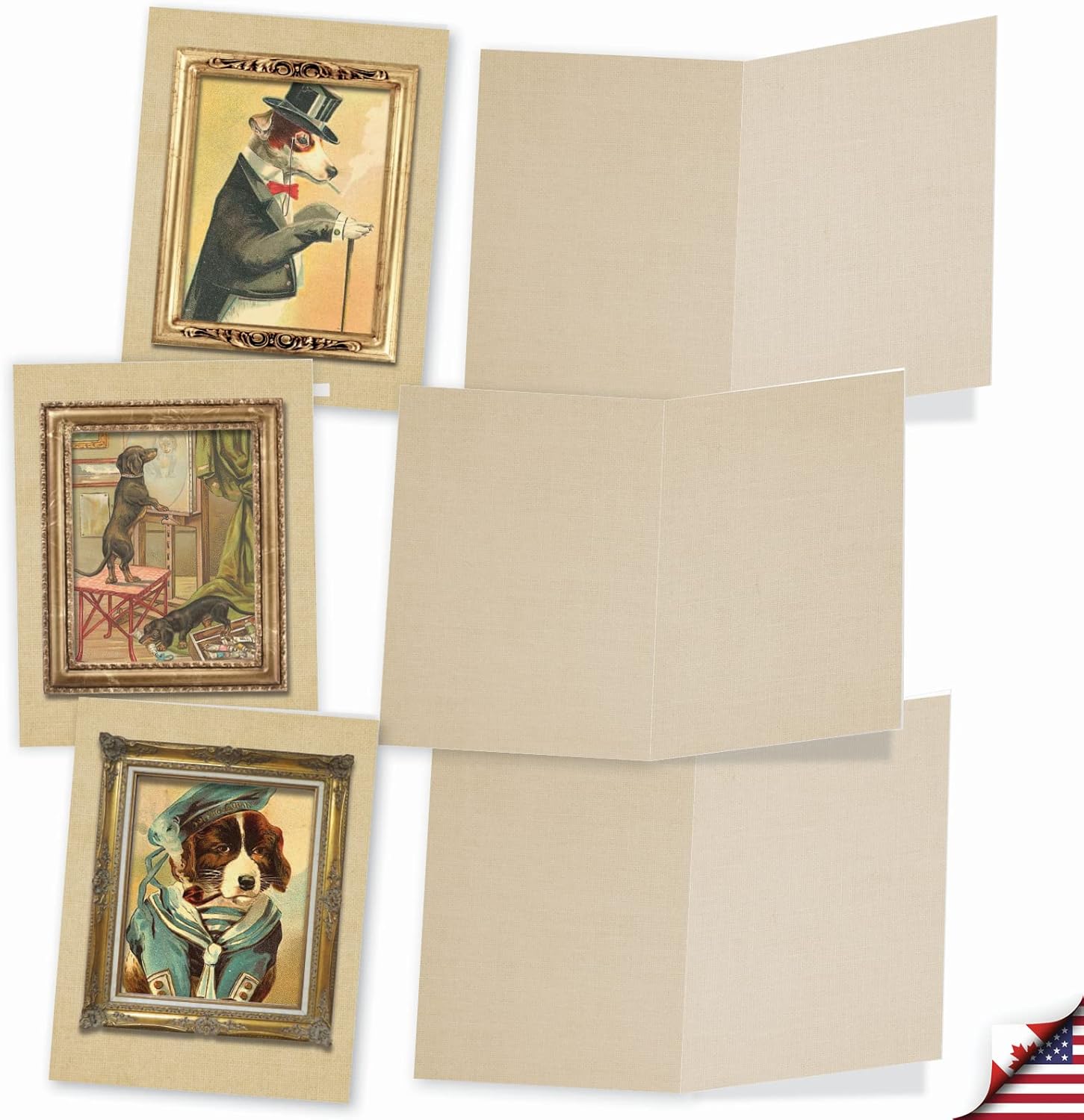 The Best Card Company – 10 tarjetas de notas en caja en blanco (4 x 5.12 pulgadas) – Tarjetas surtidas a granel, imágenes vintage – Retratos de