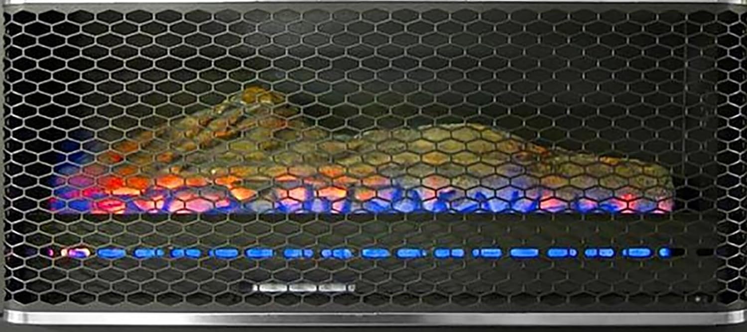 Duluth Forge Sistema de chimenea de gas sin ventilación de combustible dual con manto, control de termostato, 1 troncos de fuego, uso con gas