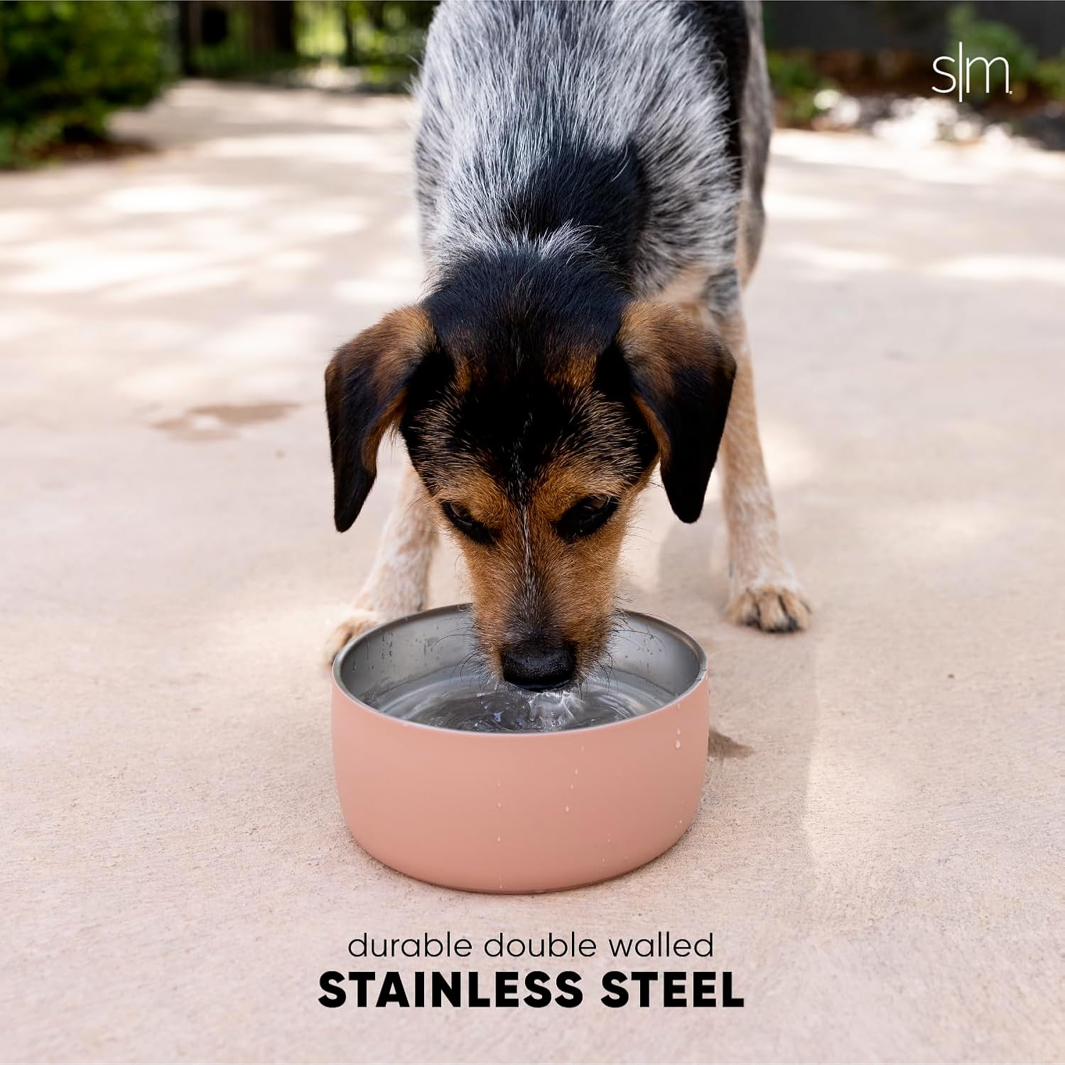 Simple Modern Tazón de agua de acero inoxidable para perros y gatos  Tazones de comida reutilizables de acero inoxidable aislados para perros y