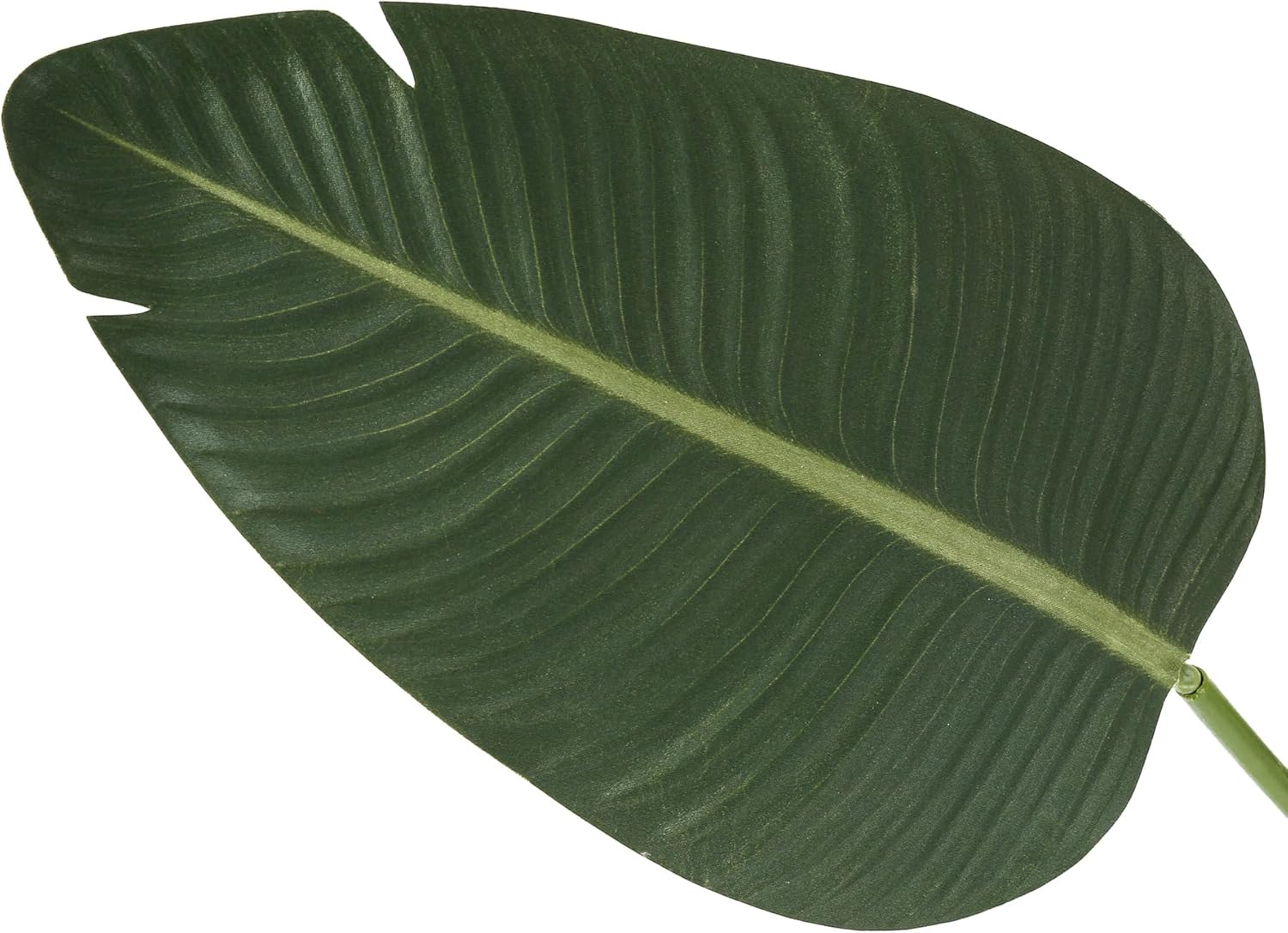 Monarch Specialties I 9570 – Planta artificial, 60 pulgadas de alto, árbol de ave del paraíso, interior, falsa, falsa, piso, vegetación, maceta,