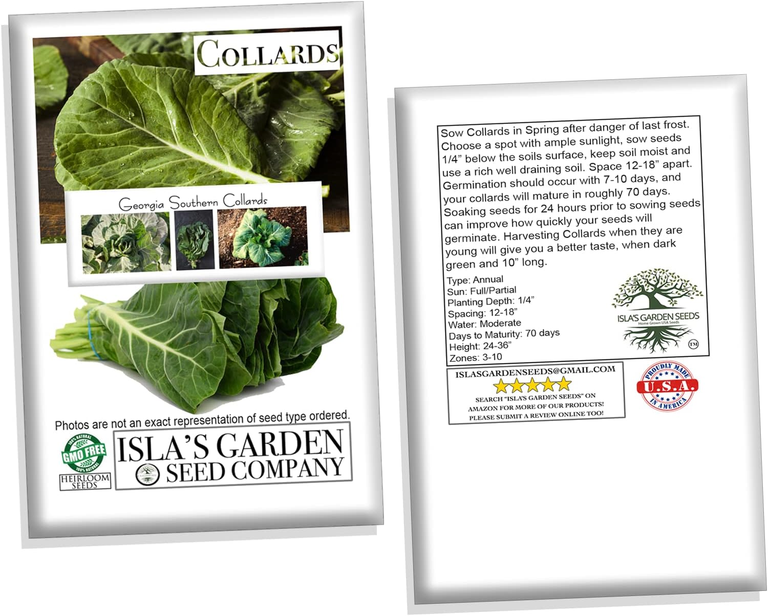 Georgia Southern Collards Seeds para plantar, más de 500 semillas tradicionales por paquete, semillas de jardín de Isla (semillas de jardín de