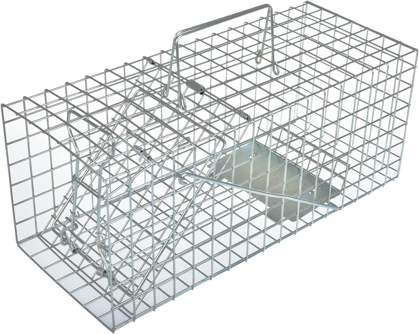 Trampa de jaula de animales vivos para ardillas, comadrejas y roedores de tamaño similar