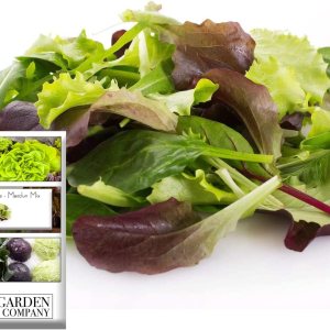 Mezcla variada de semillas de lechuga verde mixta, mezcla de mesclun), más de 500 semillas tradicionales por paquete, semillas de jardín de Isla Mezcla variada de semillas de lechuga verde mixta, mezcla de mesclun), más de 500 semillas tradicionales por paquete, semillas de jardín de Isla