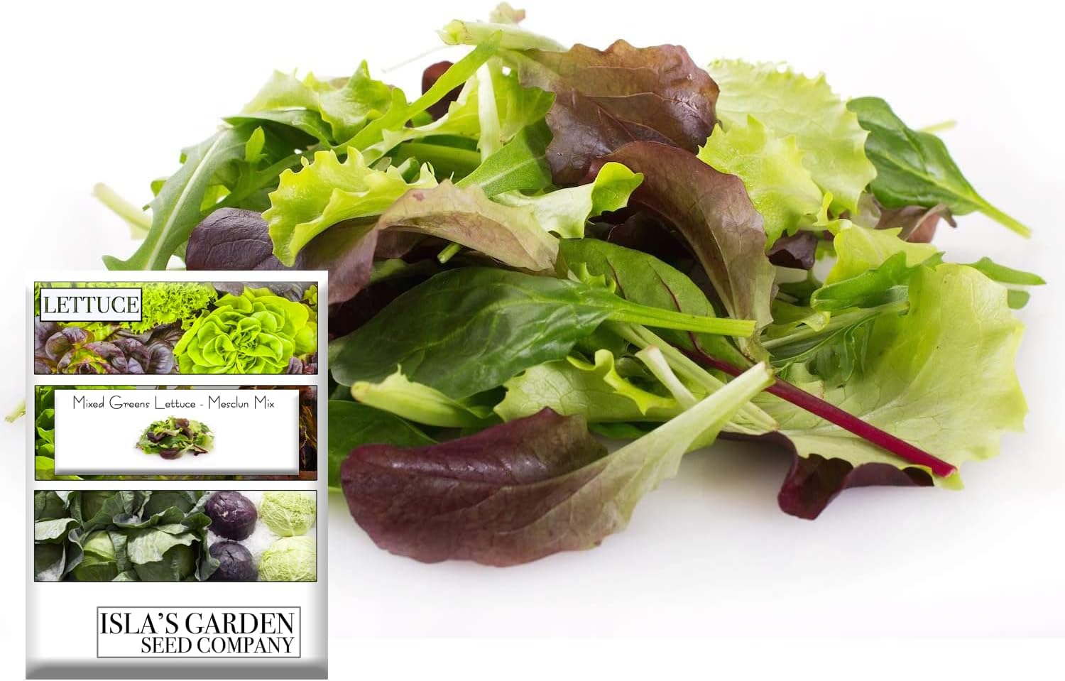 Mezcla variada de semillas de lechuga verde mixta, mezcla de mesclun), más de 500 semillas tradicionales por paquete, semillas de jardín de Isla