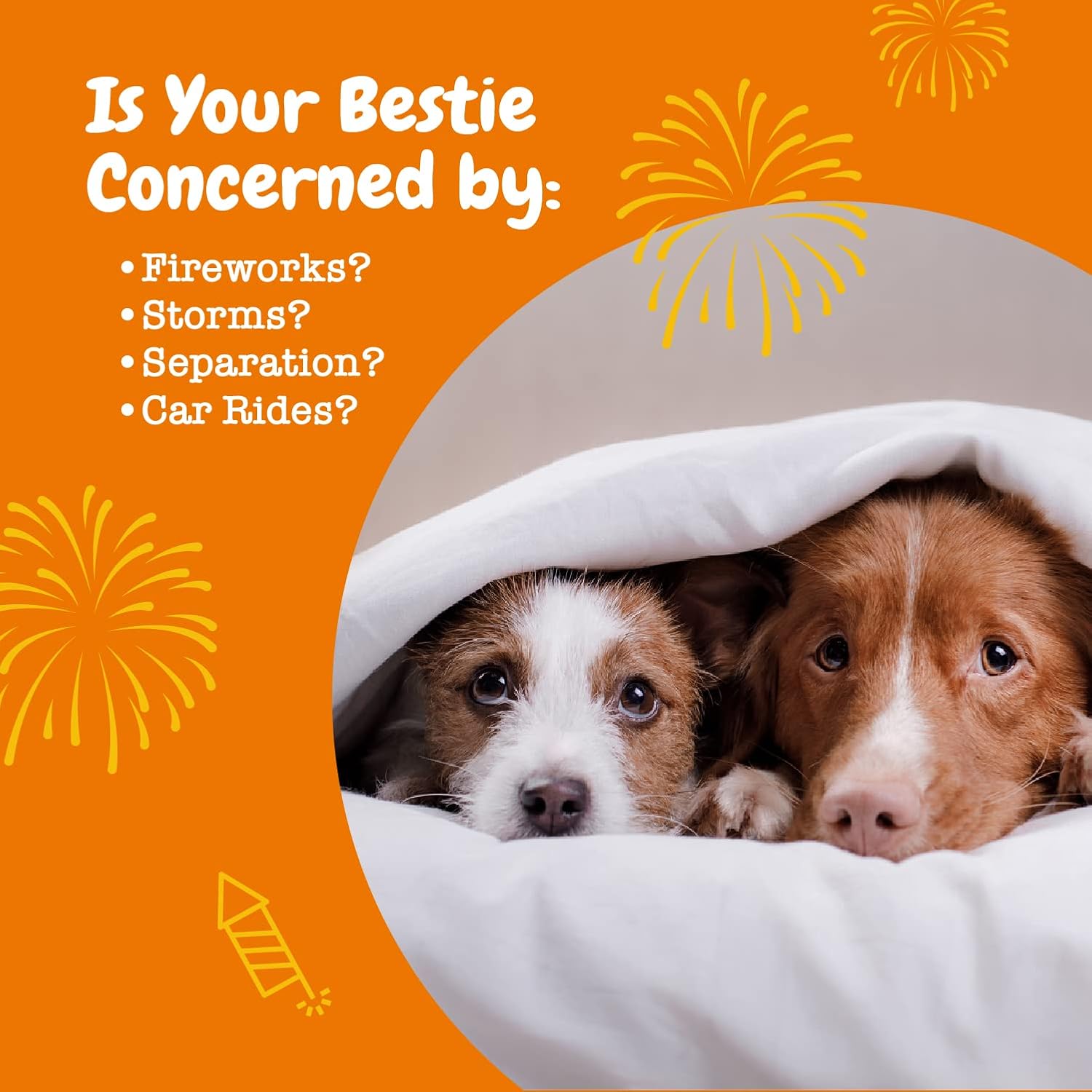 Zesty Paws Masticables calmantes para perros Compostura y relajación para el estrés diario y la separación Mantequilla de maní 50 unidades
