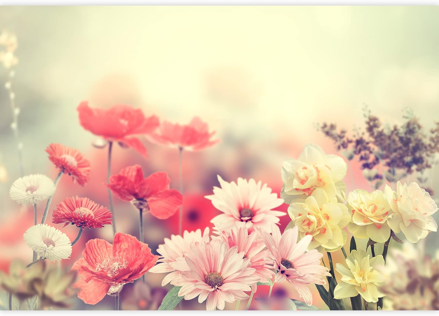 wall26 – Variación de flores coloridas de primavera – Mural de pared extraíble  Papel pintado grande autoadhesivo – 66×96 pulgadas