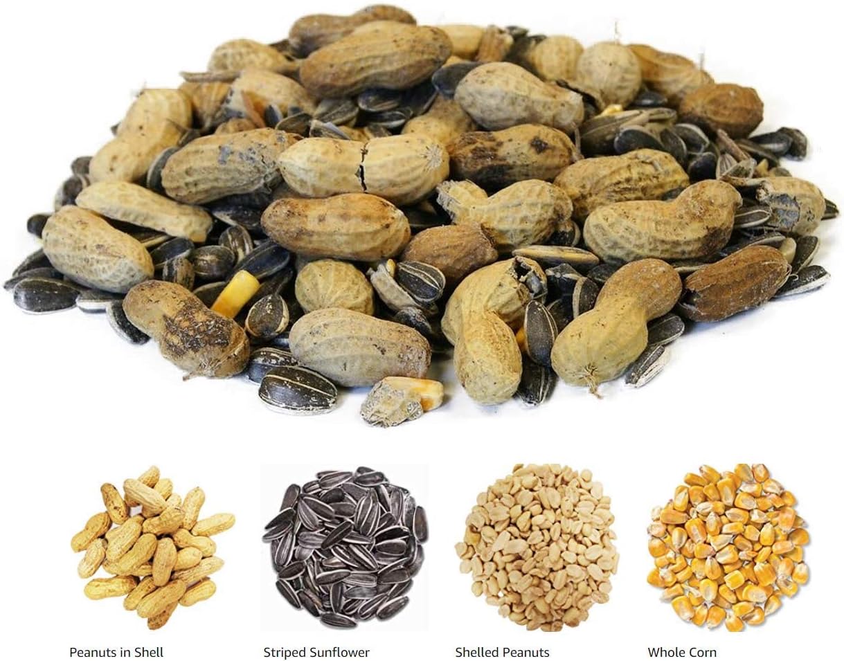 Backyard Seeds Squirrel & Friends Wildlife – Mezcla de alimentos de ardilla y ardilla, 8 libras