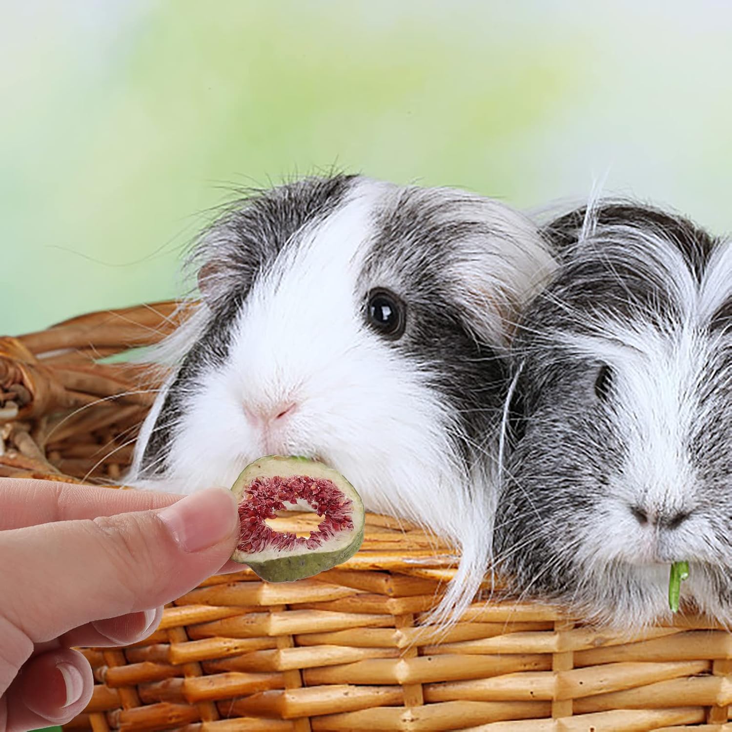 Juguetes de dentición de conejo, ropa de cama de jaula de hámster, decoración de nido de chinchilla, golosinas para la dentición (18-L)