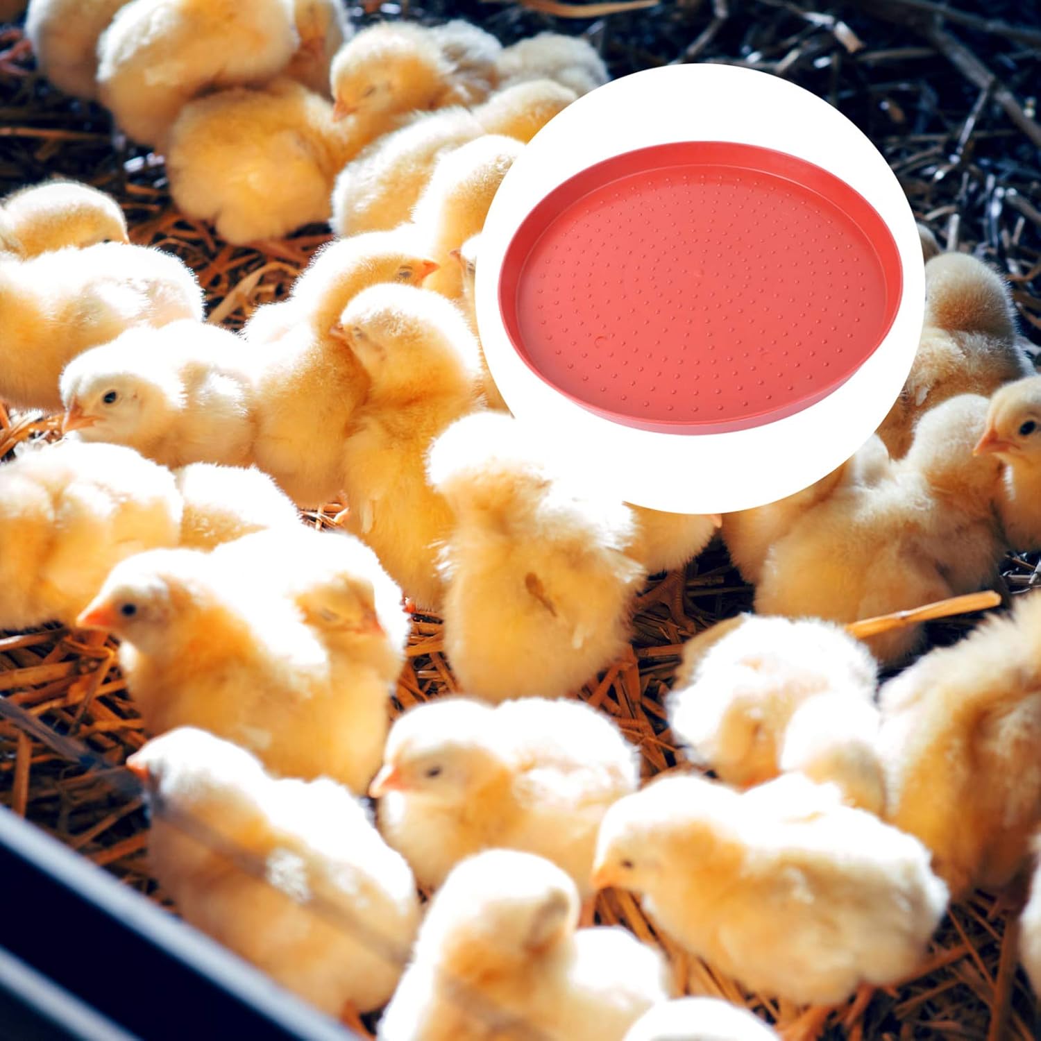 Happyyami Alimentador de aves de corral Bandeja de alimentación de alimentos Bebedor de agua Placas de alimentación Contenedor para Pollo Ganso
