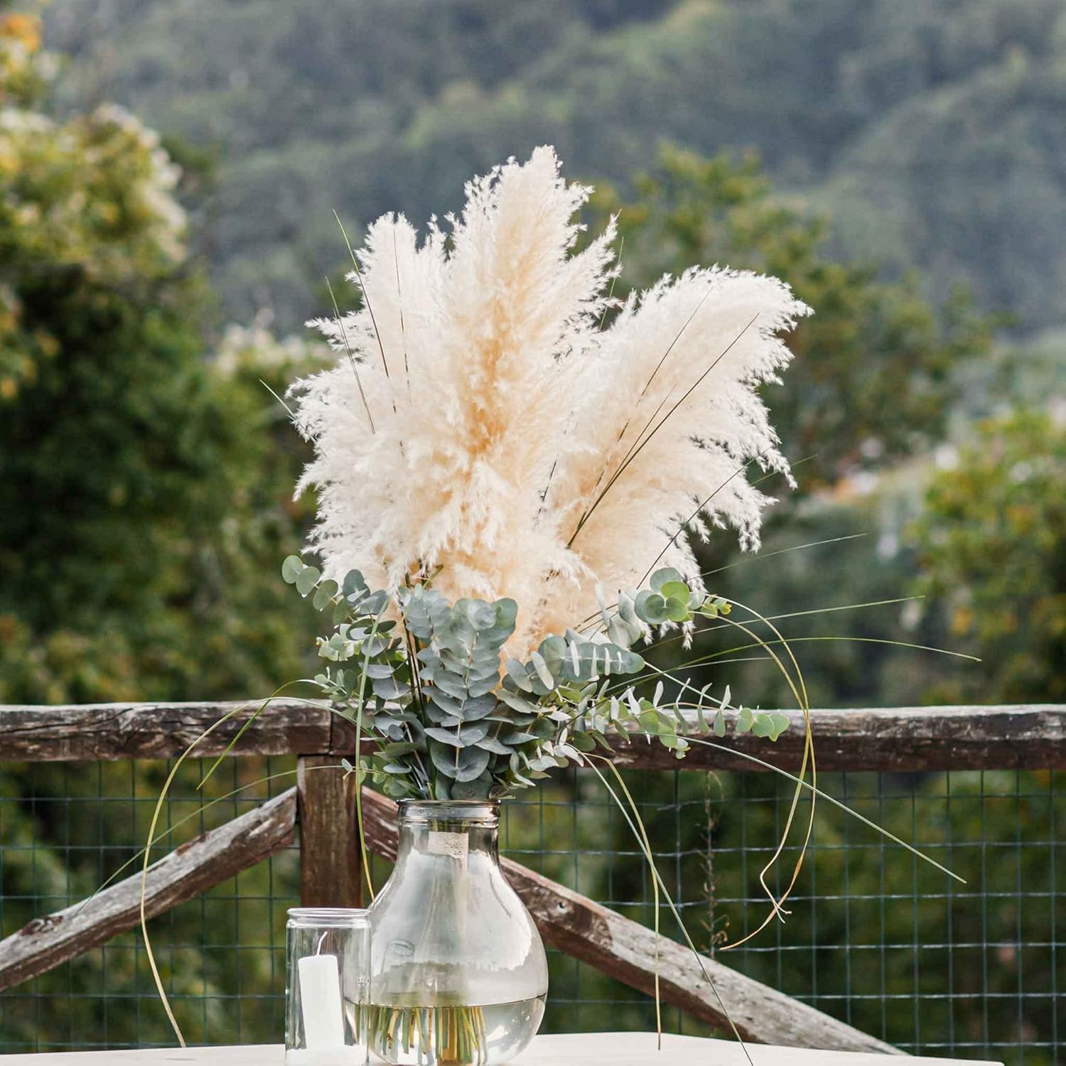 Semillas de césped – Pampas Plume White – Paquete – Semillas de hierba blanca, fáciles de cultivar y mantener, crecimiento rápido, jardín en