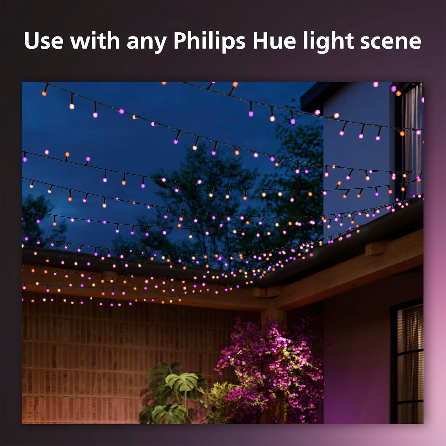 Philips Hue Tira de luces navideñas para interiores y exteriores, 130 pies, 500 mini LED inteligentes que cambian de color, resistente a la