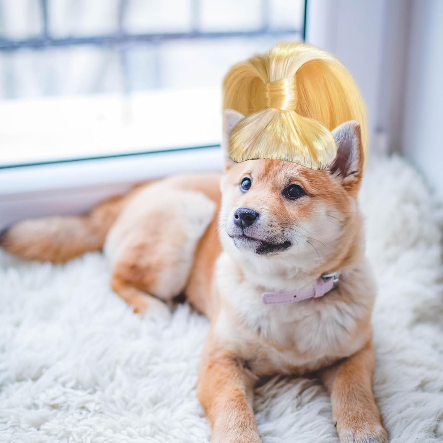 MANMAOHE Peluca rubia para mascotas, bonita peluca para mascotas con bandas elásticas ajustables, divertida peluca de cosplay para perros, gatos,