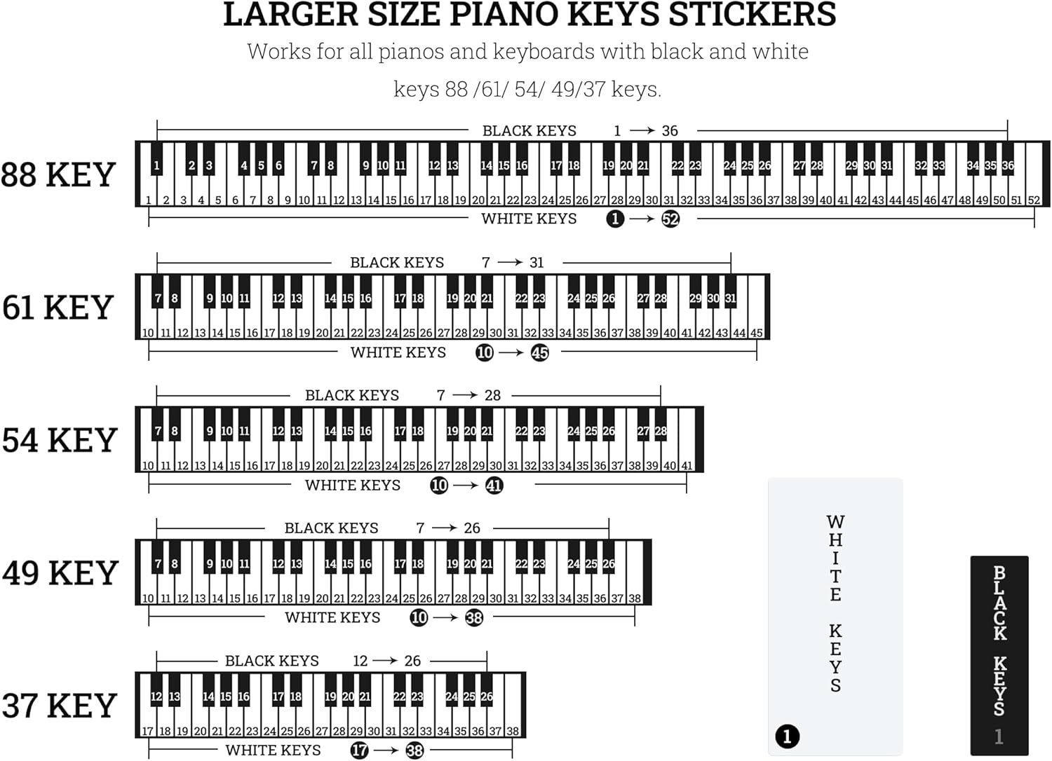 Pegatinas para teclado de piano 88614937 teclas (multicolor)