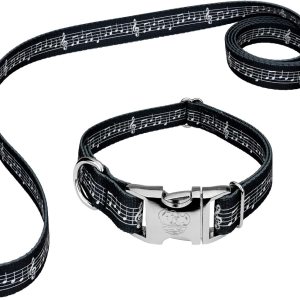 Country Brook Petz – Collar y correa de perro de partituras de primera calidad – Colección Geek Chic con 4 diseños para cualquier Mega fan (1 Country Brook Petz – Collar y correa de perro de partituras de primera calidad – Colección Geek Chic con 4 diseños para cualquier Mega fan (1