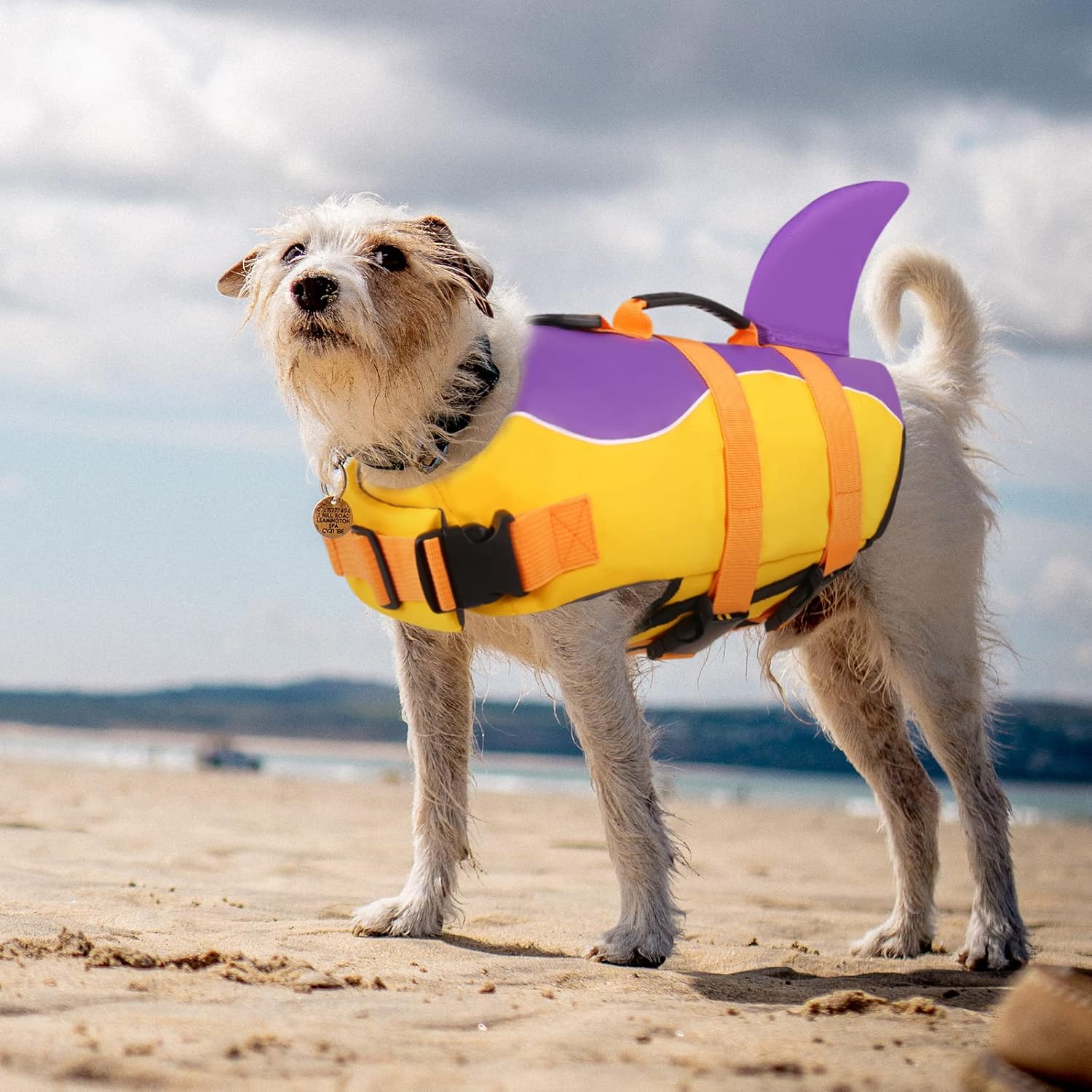 ASENKU Chaleco salvavidas para perros y mascotas, chaleco salvavidas de seguridad para nadar en barco, chalecos salvavidas para perros y tiburones,