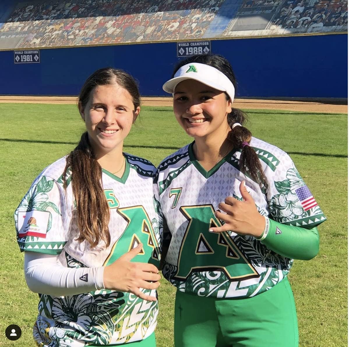 B-Driven Premium Pro-Fit Sports – Manga de compresión para brazo (individual) con diseños patrióticos, mangas para brazo de béisbol, hombres,