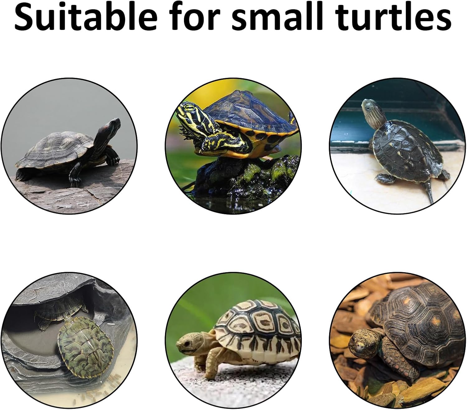 PINVNBY Acuario Turtle Tank de 17.7 pulgadas de largo x 10.2 pulgadas de ancho x 6.1 pulgadas de alto, hábitat de reptiles con plataforma para tomar
