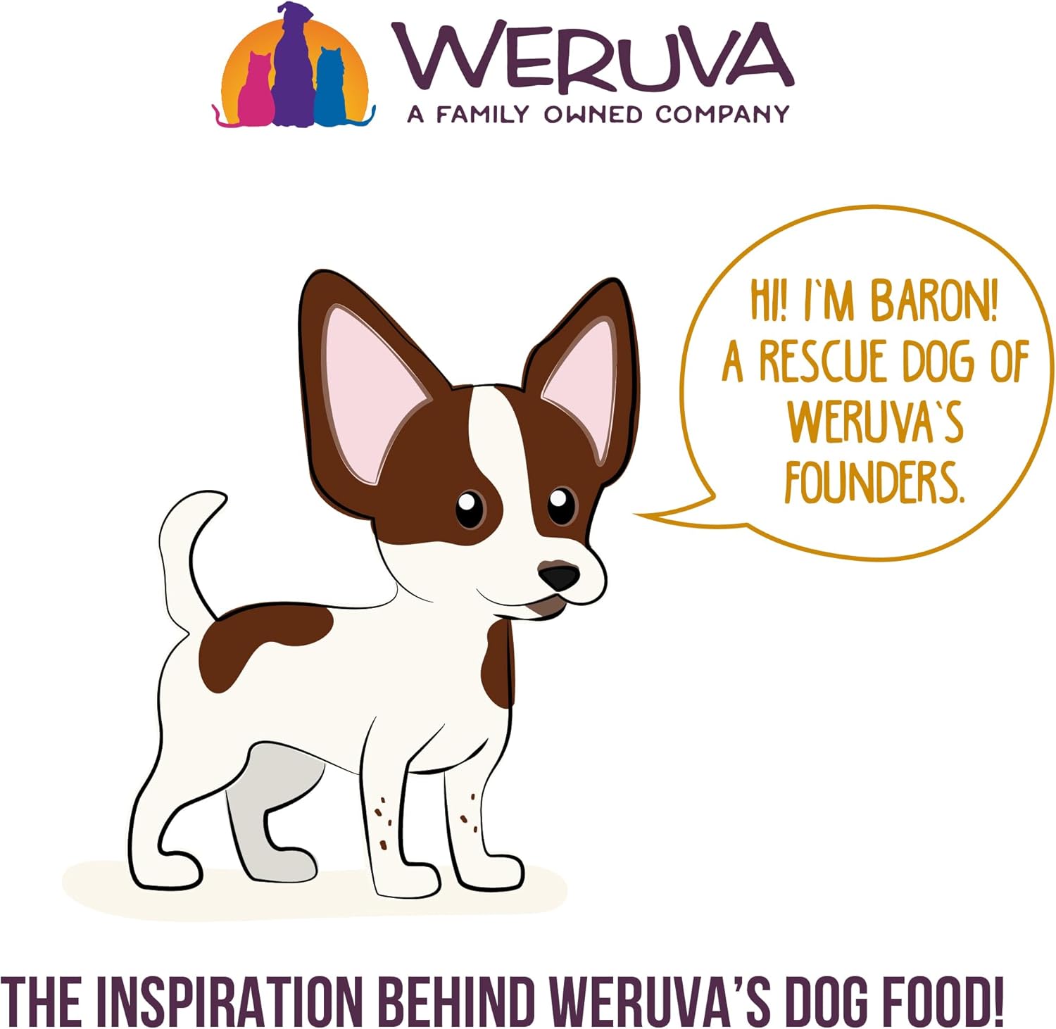 Weruva Comida clásica para perros, Let’s Give Em’ Pumpkin to Talk About Paquete variado, lata de 5.5 onzas (paquete de 12)