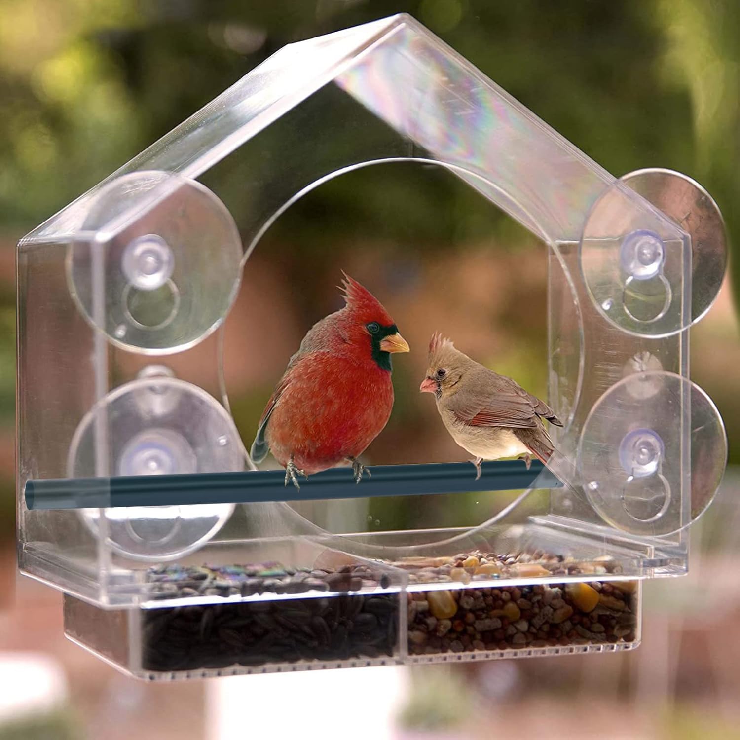 Comederos para pájaros de ventana, comederos de plástico transparente con 4 ventosas fuertes, bandeja deslizante y agujeros de drenaje para