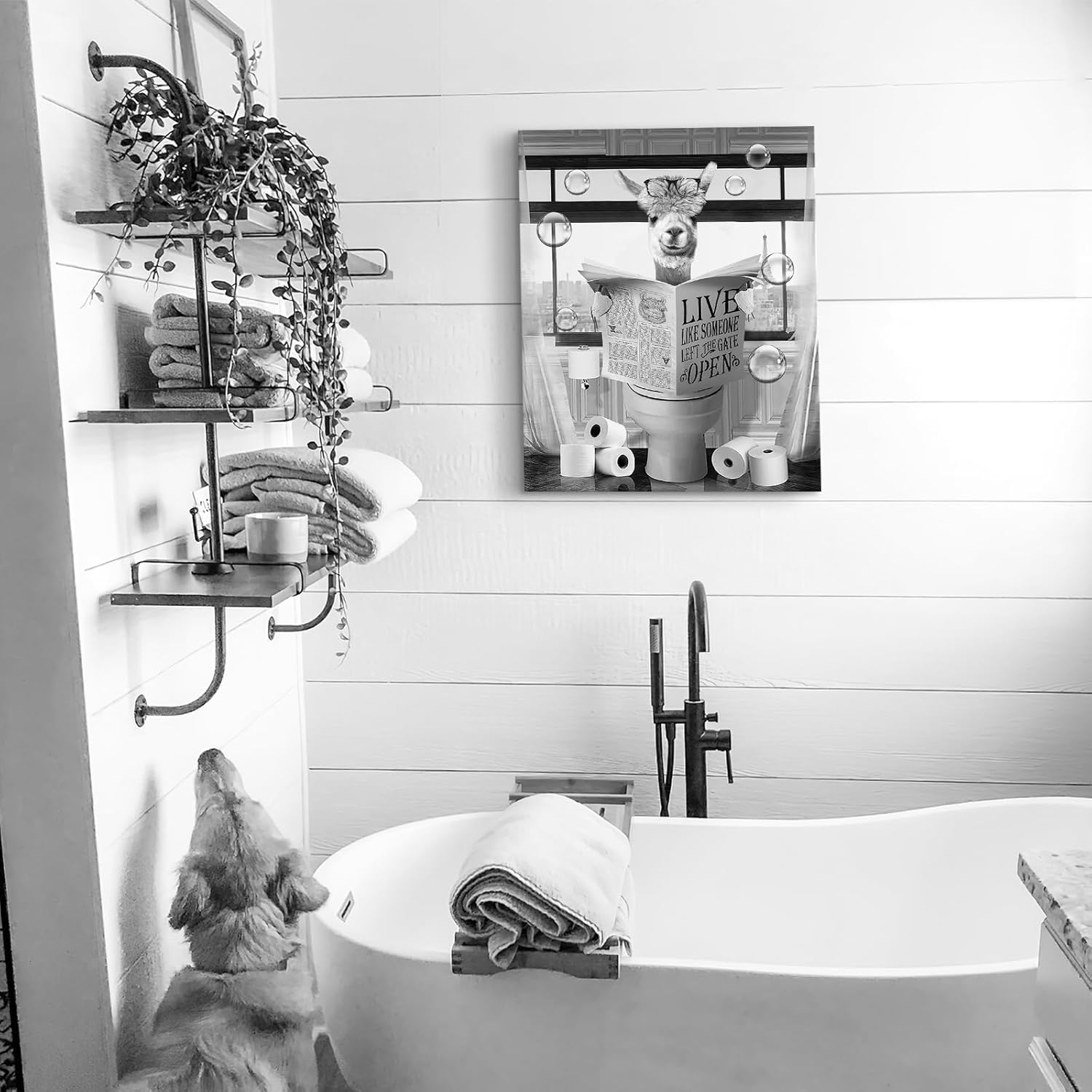 Luslya Divertido arte de pared de alpaca para baño, linda alpaca sentada en el inodoro, lectura de periódicos, póster enmarcado en blanco y negro