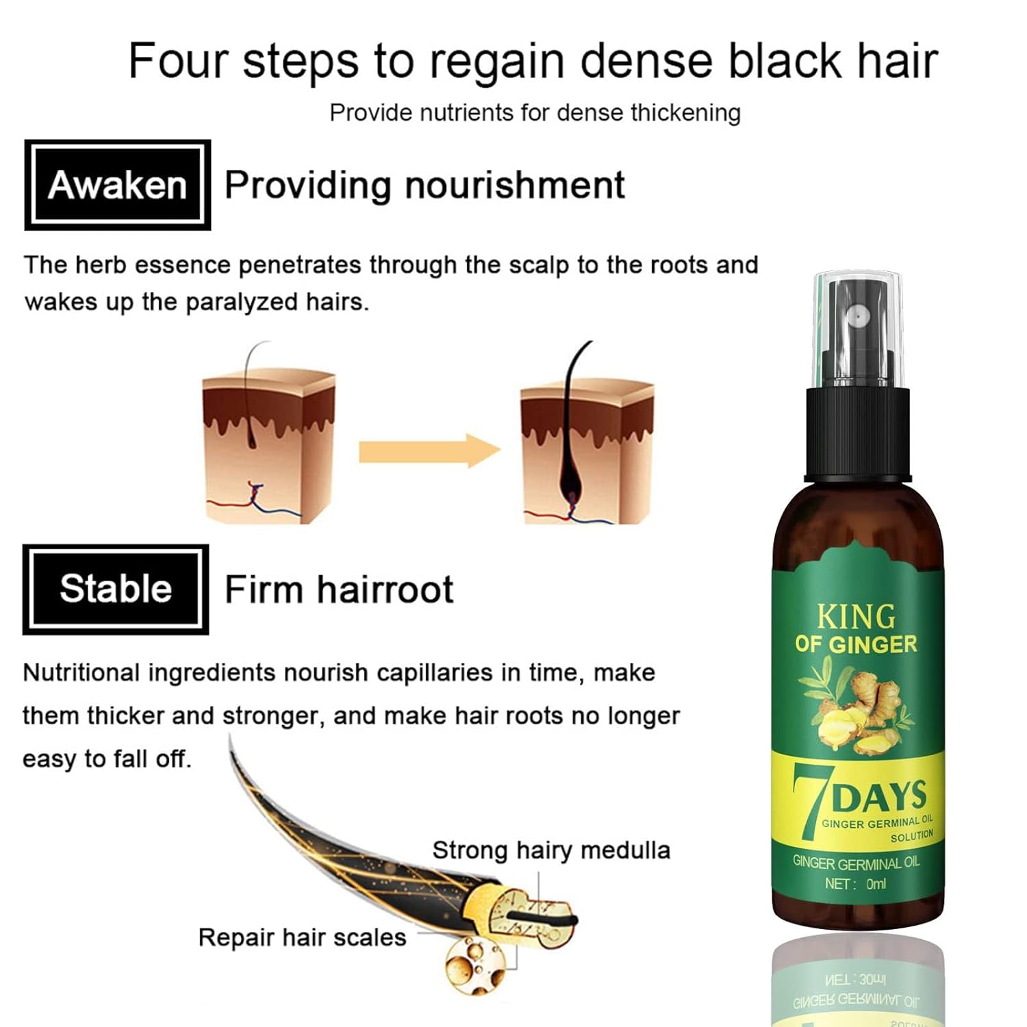 Shouga Kingu Aceite de crecimiento del cabello, aceite de jengibre para el crecimiento del cabello, aceite germinal de jengibre 7 días, King of