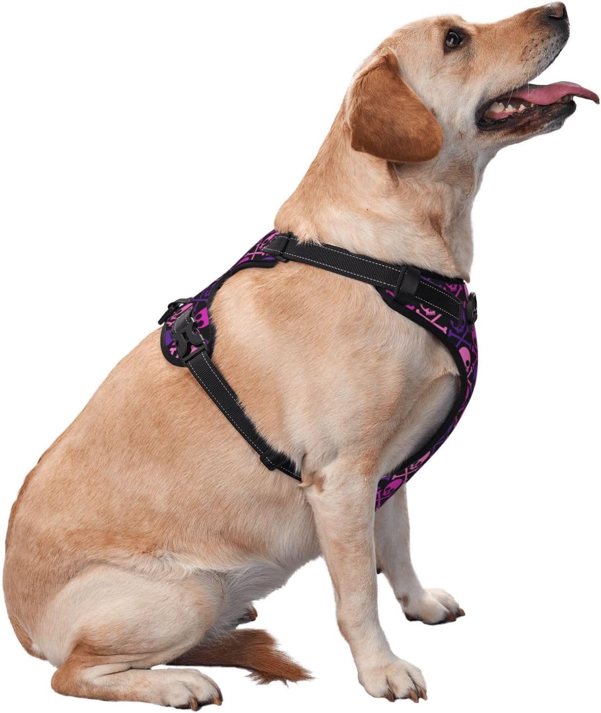 Arnés transpirable para perro con diseño de calavera cruzada morado y rosa, arnés para perro sin estrangulamiento, arnés para perro para caminar al