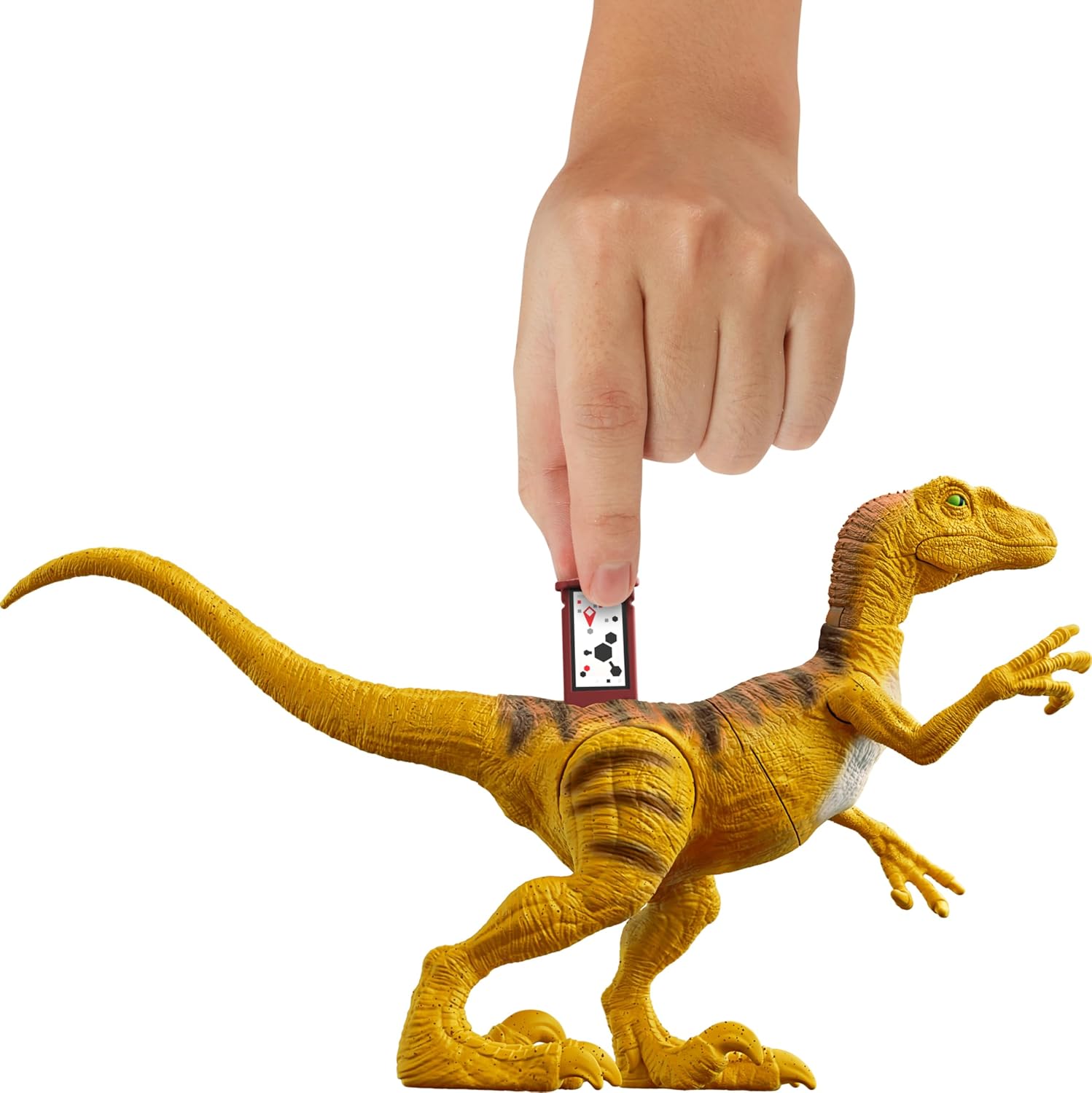 Mattel Jurassic World Strike Attack Velociraptor – Juguete de dinosaurio con acción de golpe único, articulaciones móviles, figura de acción de