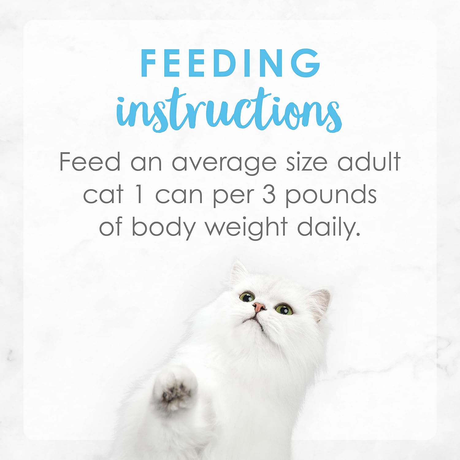 PURINA Fancy Feast Creamy Delights – Paquete variado de alimentos húmedos para gatos (3 onzas (paquete de 12), paquete variado