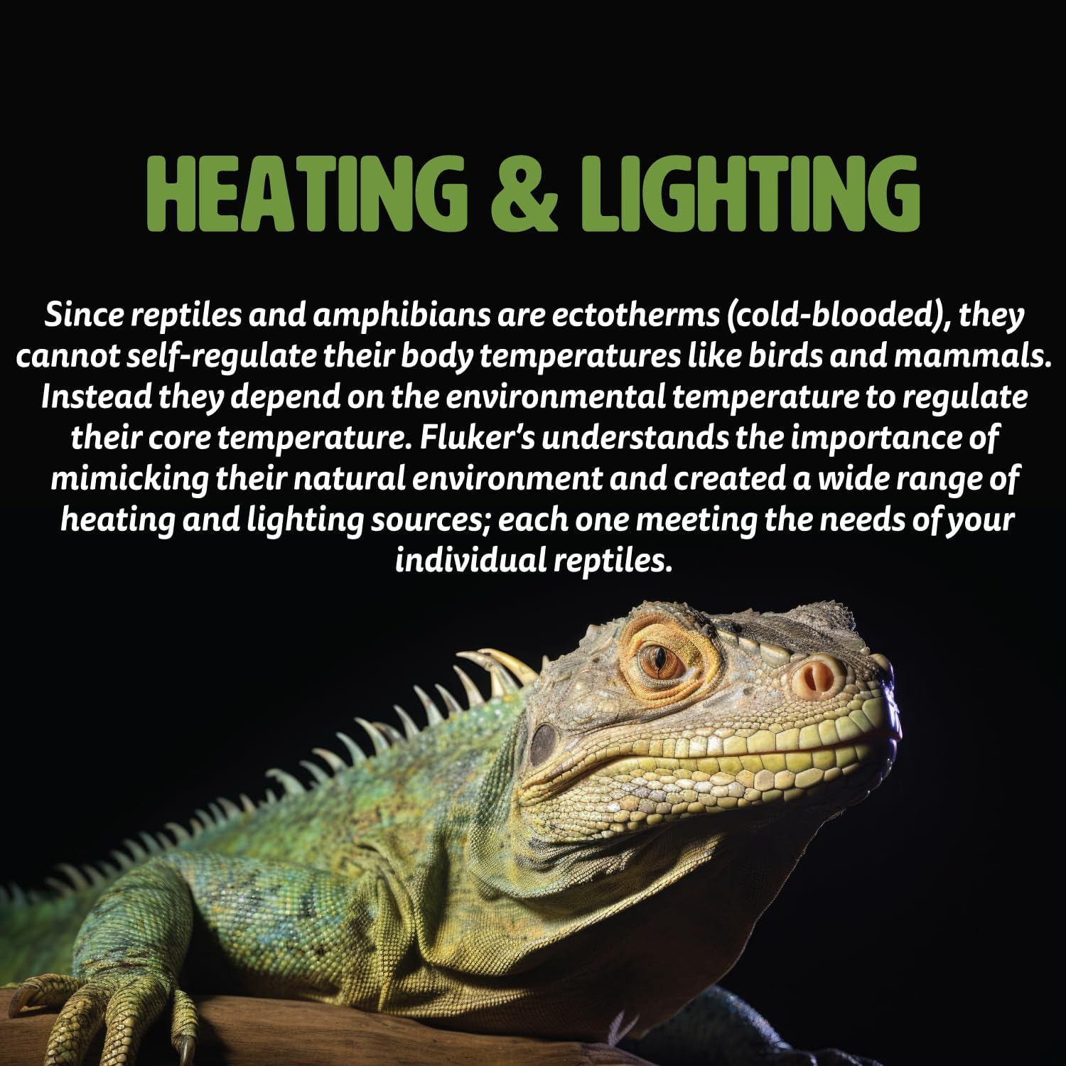 Fluker’s Lámpara de calor térmico profundo para reptiles con tecnología infrarroja de carbono – 100 vatios