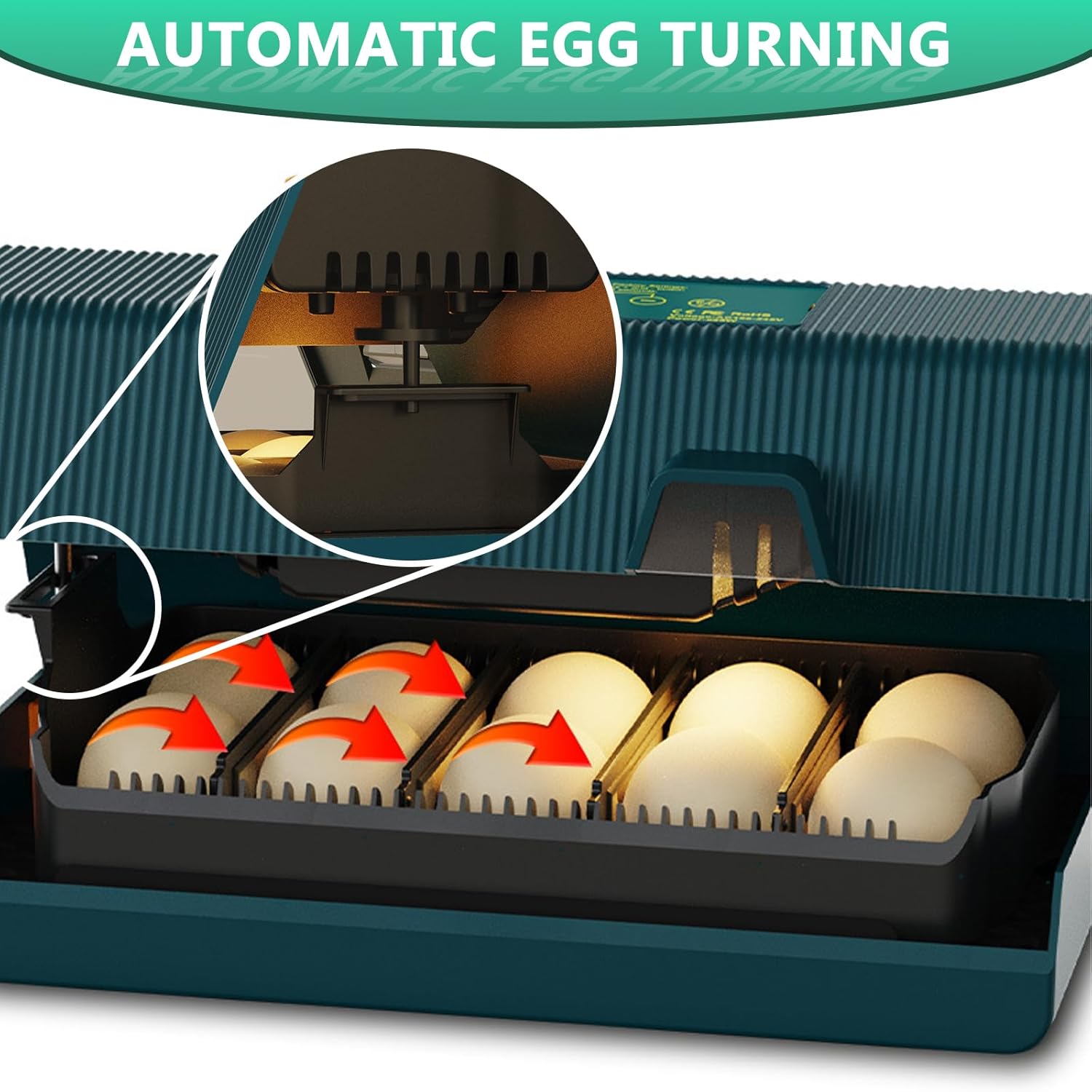 WYD2ANG Incubadoras inteligentes de pollo para incubar huevos con volteador automático, aves, pato, codorniz, incubadora de 12 huevos, pantalla de