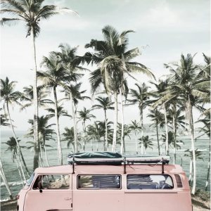 Tucocoo Kits de pintura por números de paisaje costero, lienzo de 16 x 20 pulgadas, pintura al óleo para niños, estudiantes, adultos principiantes Tucocoo Kits de pintura por números de paisaje costero, lienzo de 16 x 20 pulgadas, pintura al óleo para niños, estudiantes, adultos principiantes