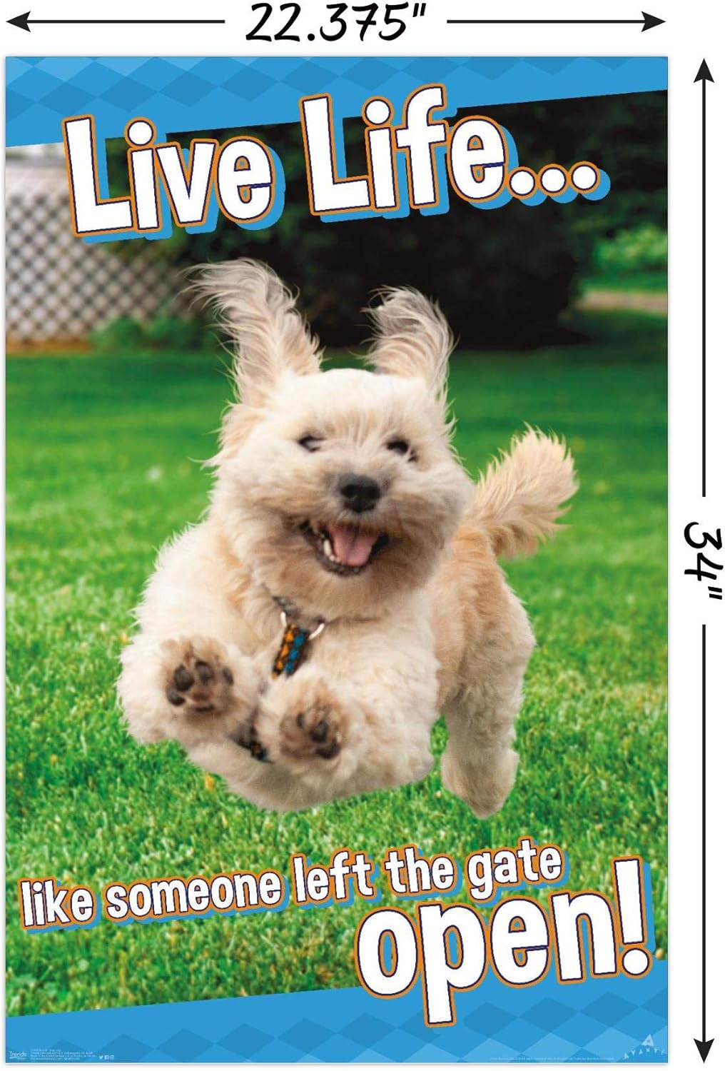 Trends International Avanti – Póster de pared Dog Joy, 22.375 x 34 pulgadas, versión sin marco