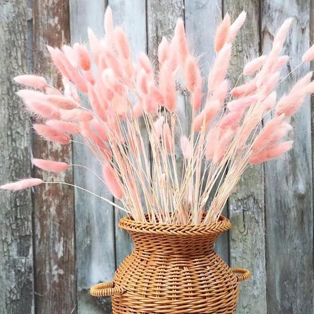 60 piezas de flores secas de cola de conejo, hierba rosa de las pampas, arreglo floral seco natural, flores secas para Halloween, Navidad,