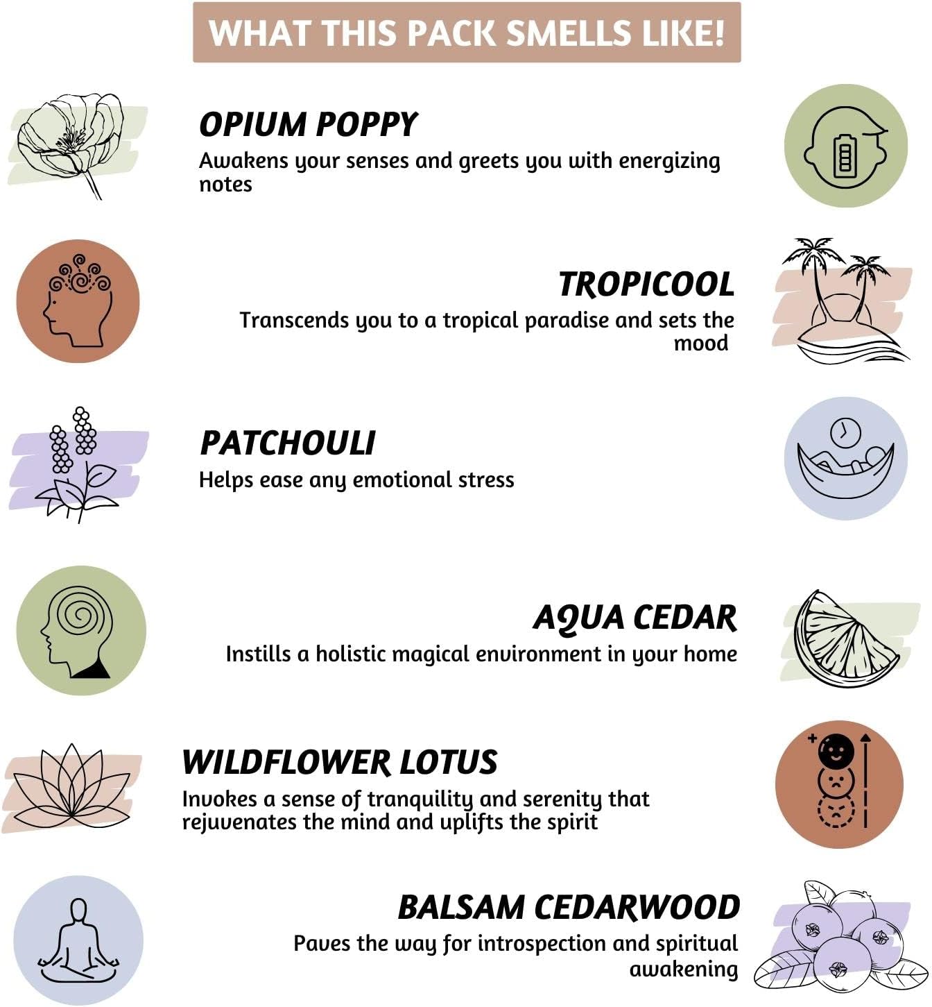 Folkulture Conos de incienso perfumados, juego de 6 conos (120 conos) con soporte para conos de incienso, incienso de pachulí, amapola de opio, piña