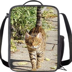 Lindo gato impreso aislado bolsa de almuerzo ligera congelable bolsa de mano fácil de llevar durable viaje almuerzo mochila Lindo gato impreso aislado bolsa de almuerzo ligera congelable bolsa de mano fácil de llevar durable viaje almuerzo mochila