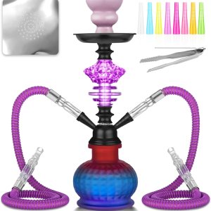 Juego de cachimba de 12 pulgadas con 2 mangueras Shisha Hookah Set con todo – Jarrón de vidrio moderno, 50 láminas de narguile y 50 puntas de Juego de cachimba de 12 pulgadas con 2 mangueras Shisha Hookah Set con todo – Jarrón de vidrio moderno, 50 láminas de narguile y 50 puntas de