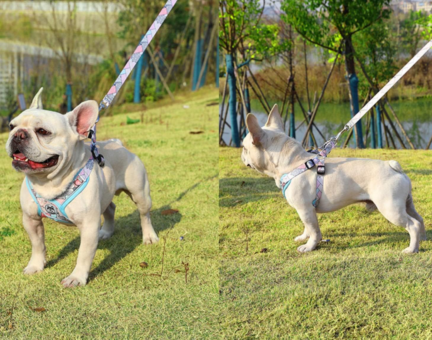 PT-010 Arnés sin tirones para perro y mascota, arnés de entrenamiento para caminar con correa chaleco reflectante (azul, M)