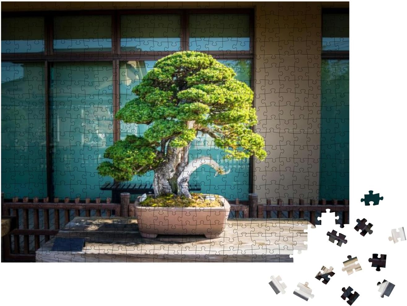Árbol bonsái japonés en Omiya Bonsai Village at Saitama – Rompecabezas de 500 piezas
