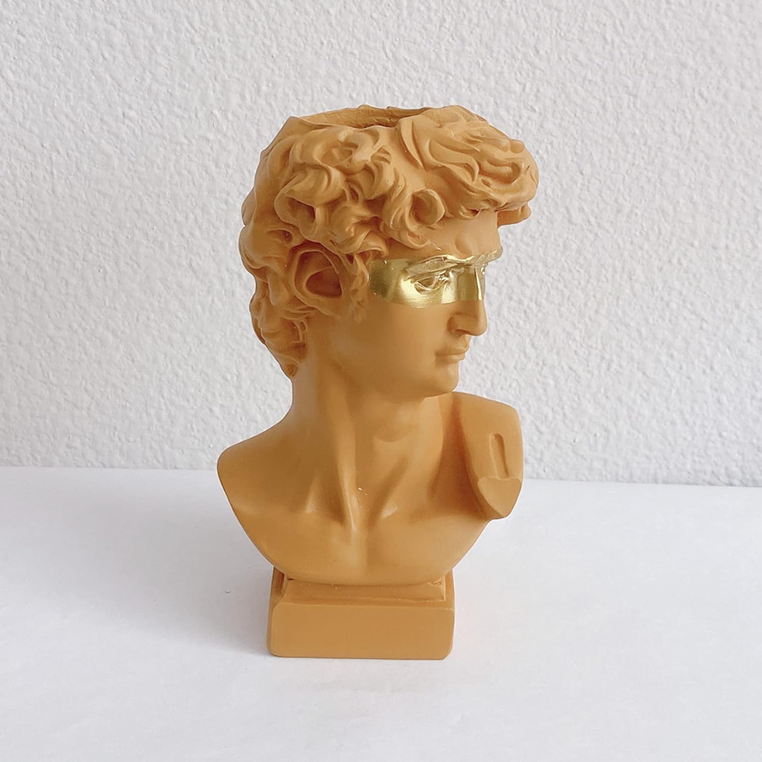 Lemonadeus Jarrón con estatua de David, maceta de resina para suculentas, estatua griega, jarrón de estatua de busto de David con ojos dorados,