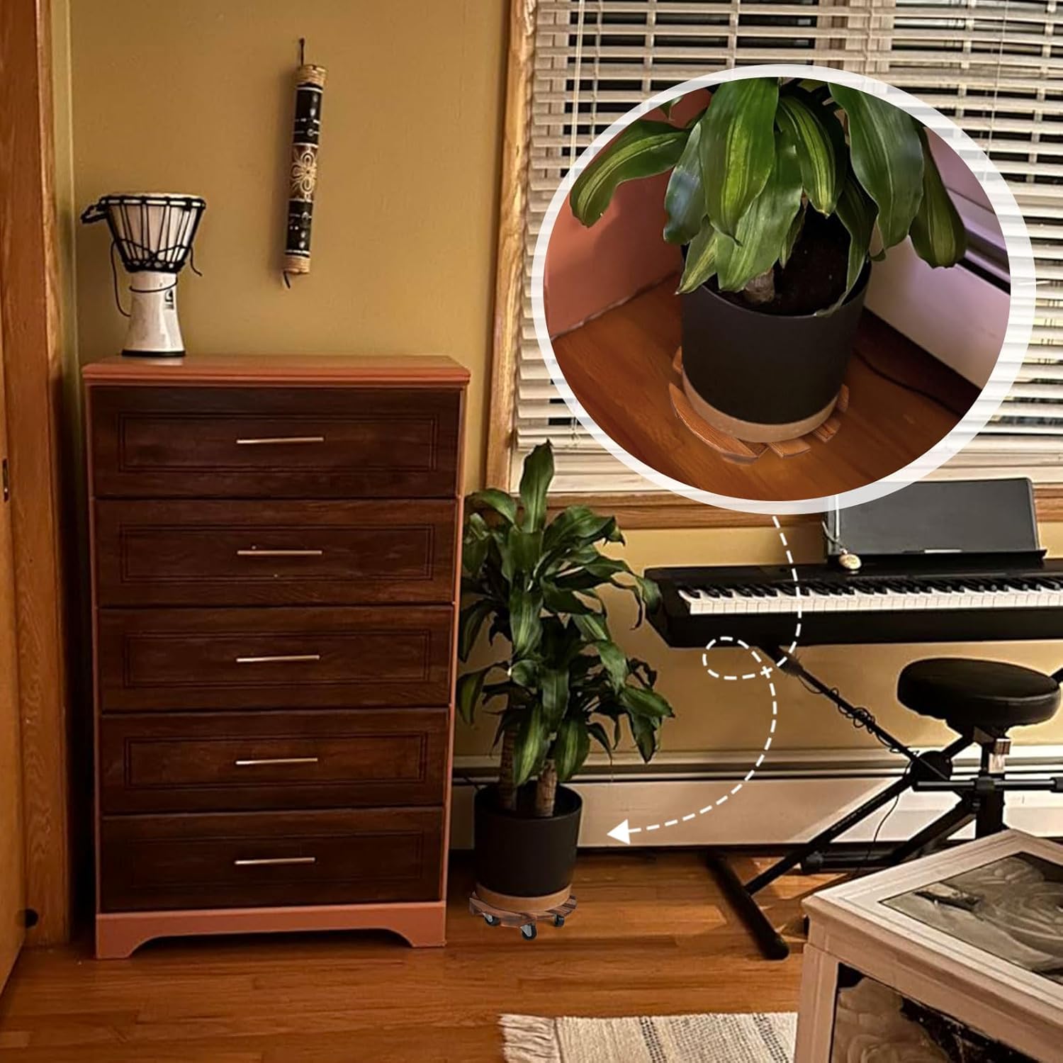 Paquete de 2 soportes para plantas con ruedas, organizadores para plantas con ruedas deslizantes suaves bloqueables de 360, duradero, resistente,