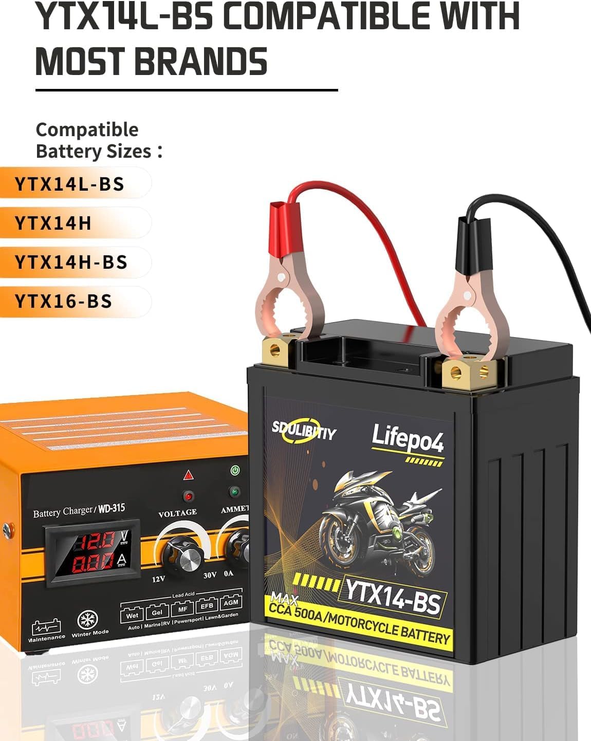 Batería de litio Powersports batería LiFePO4 Batería de arranque del motor (SD-YTX14-BS-nuevo) Compatible con ATV, UTV, Jet Ski, Quad, cortacésped,